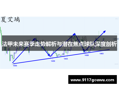 法甲未来赛季走势解析与潜在焦点球队深度剖析